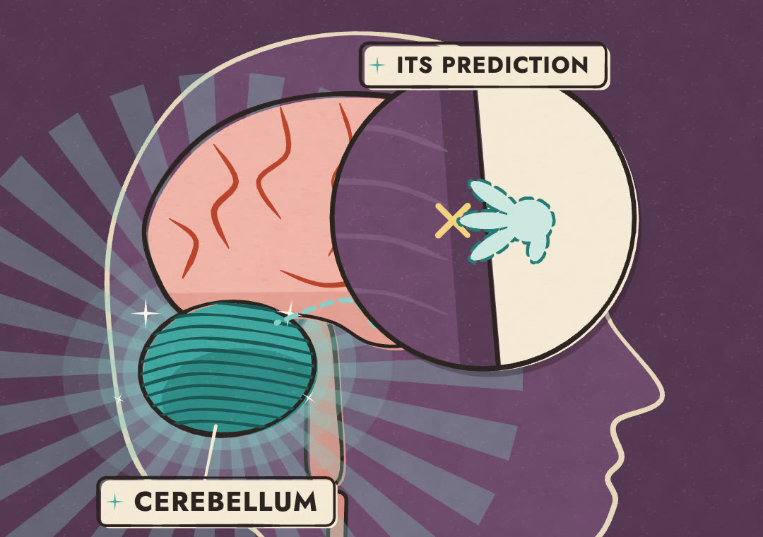 Inside the cartoon man's head, a dotted hand shows where his brain predicts his fingers will land.